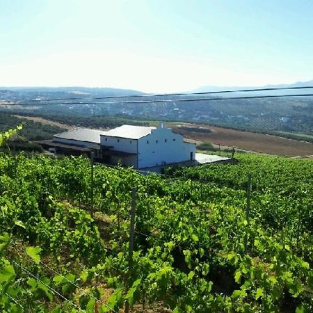 Апартаменти Bodegas Morosanto La Cimada Екстер'єр фото