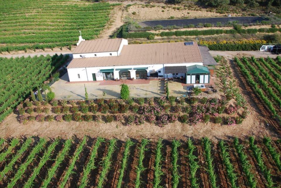 Апартаменти Bodegas Morosanto La Cimada Екстер'єр фото
