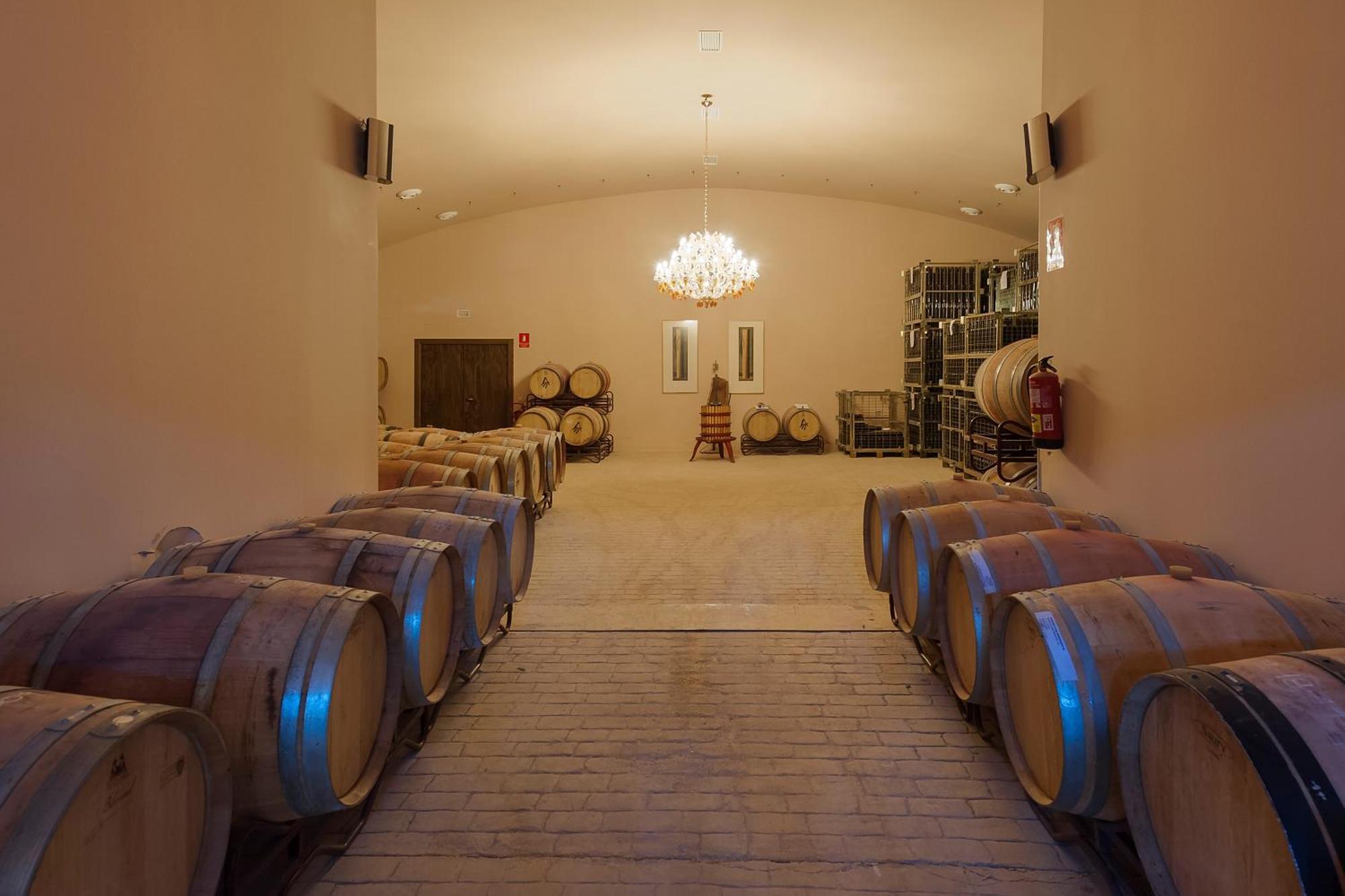 Апартаменти Bodegas Morosanto La Cimada Екстер'єр фото